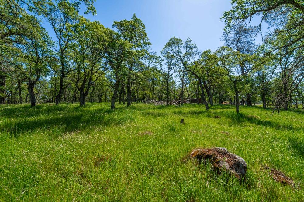 9185 Ridge Road Newcastle, CA 95658 - Photo 11 of 63