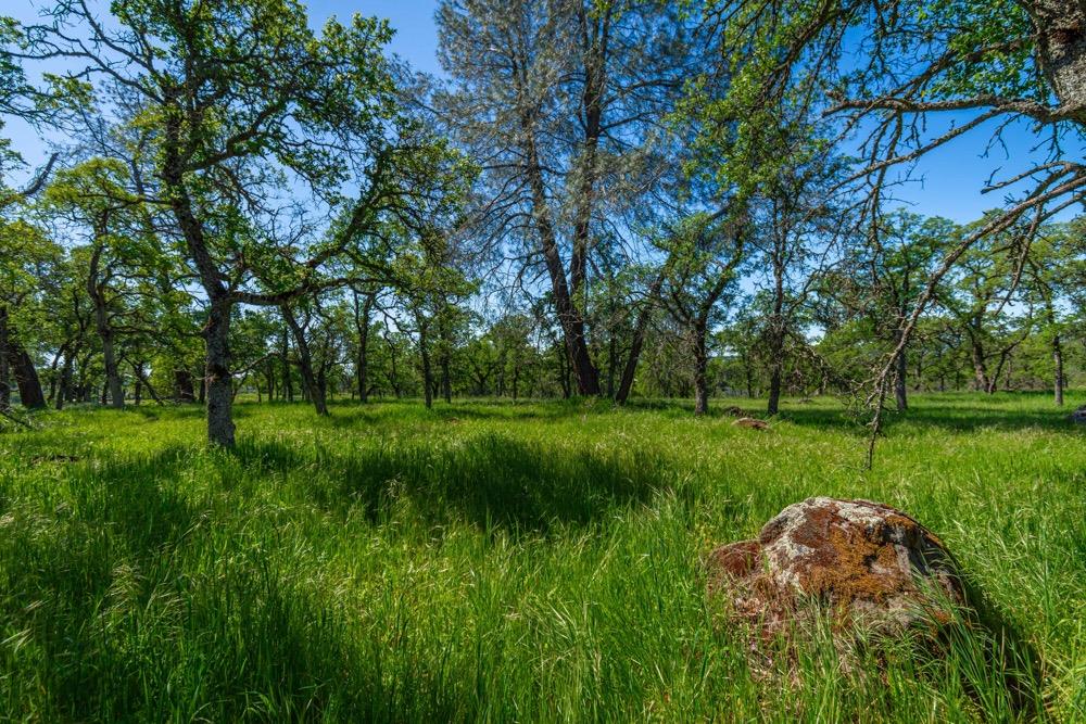 9185 Ridge Road Newcastle, CA 95658 - Photo 12 of 63