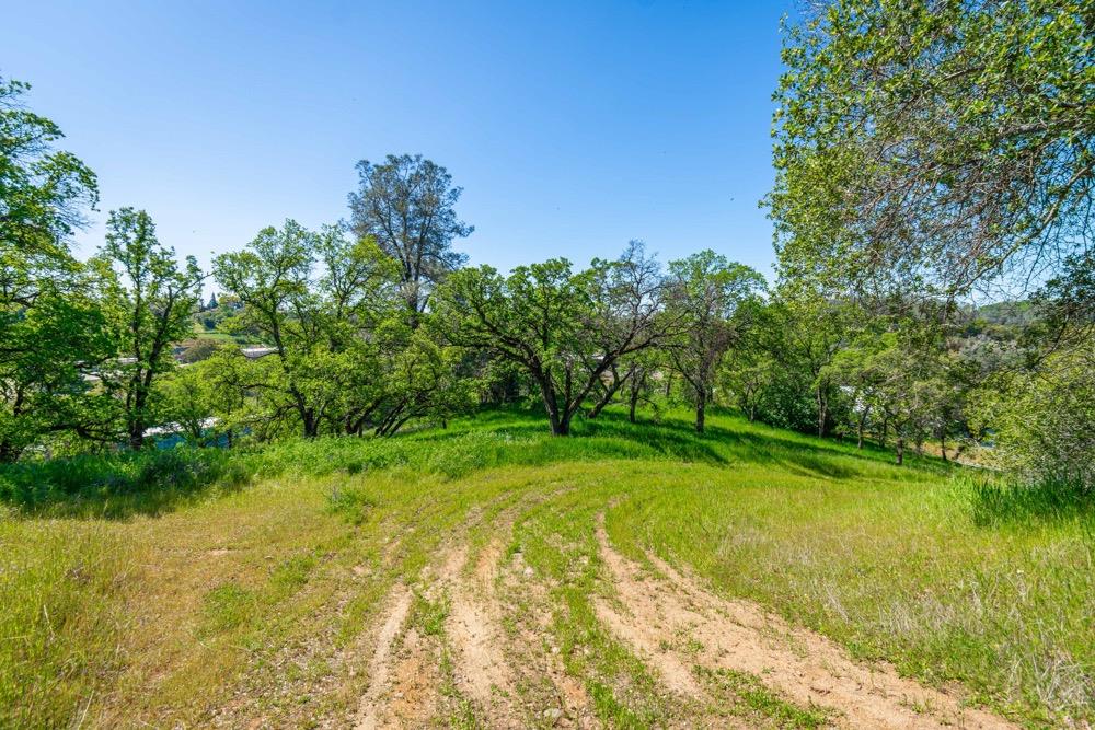 9185 Ridge Road Newcastle, CA 95658 - Photo 13 of 63