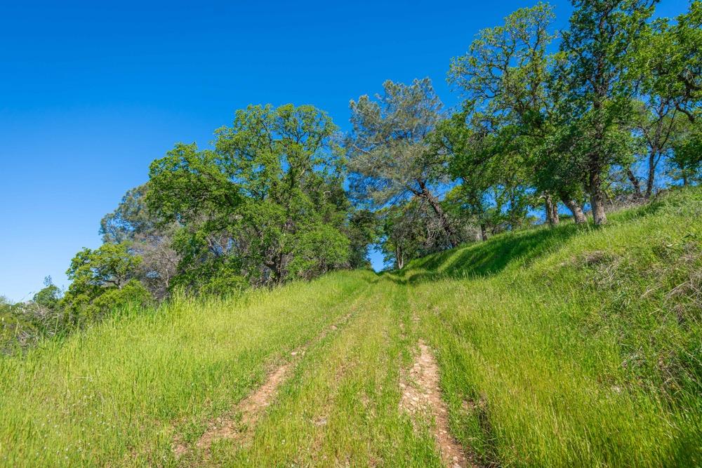 9185 Ridge Road Newcastle, CA 95658 - Photo 14 of 63