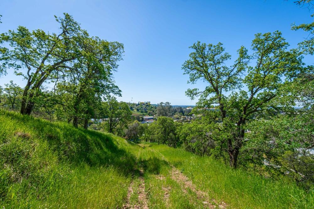 9185 Ridge Road Newcastle, CA 95658 - Photo 15 of 63