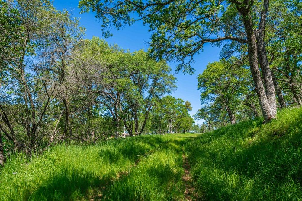 9185 Ridge Road Newcastle, CA 95658 - Photo 16 of 63