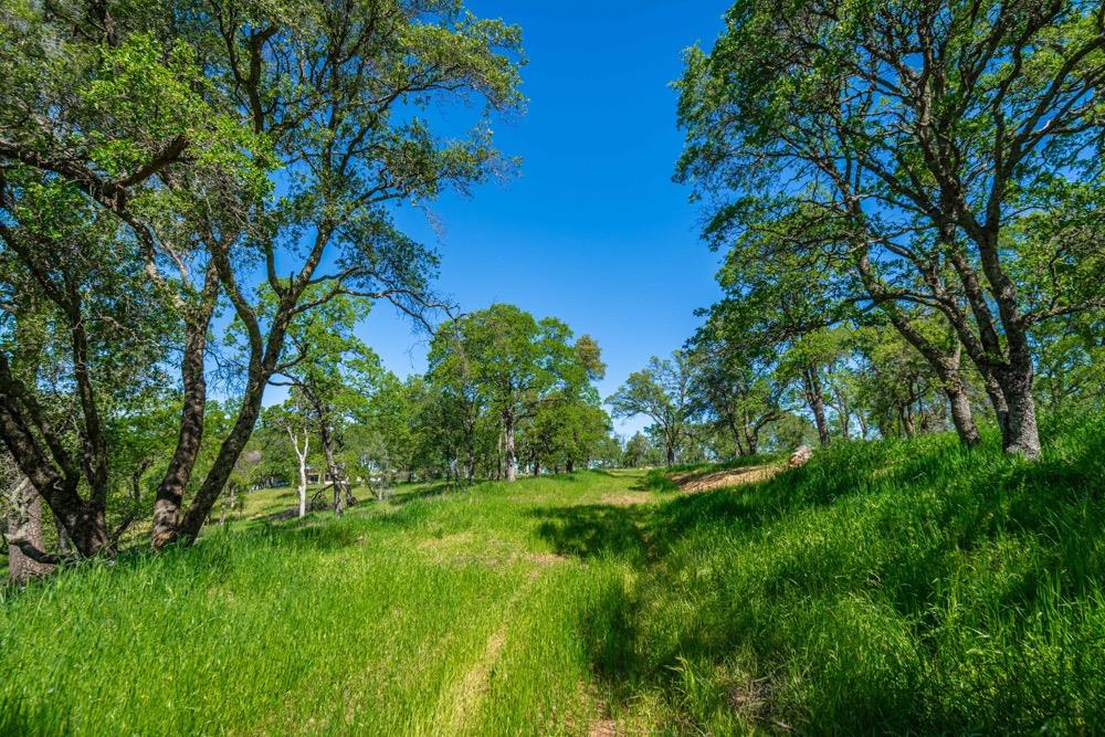 9185 Ridge Road Newcastle, CA 95658 - Photo 17 of 63