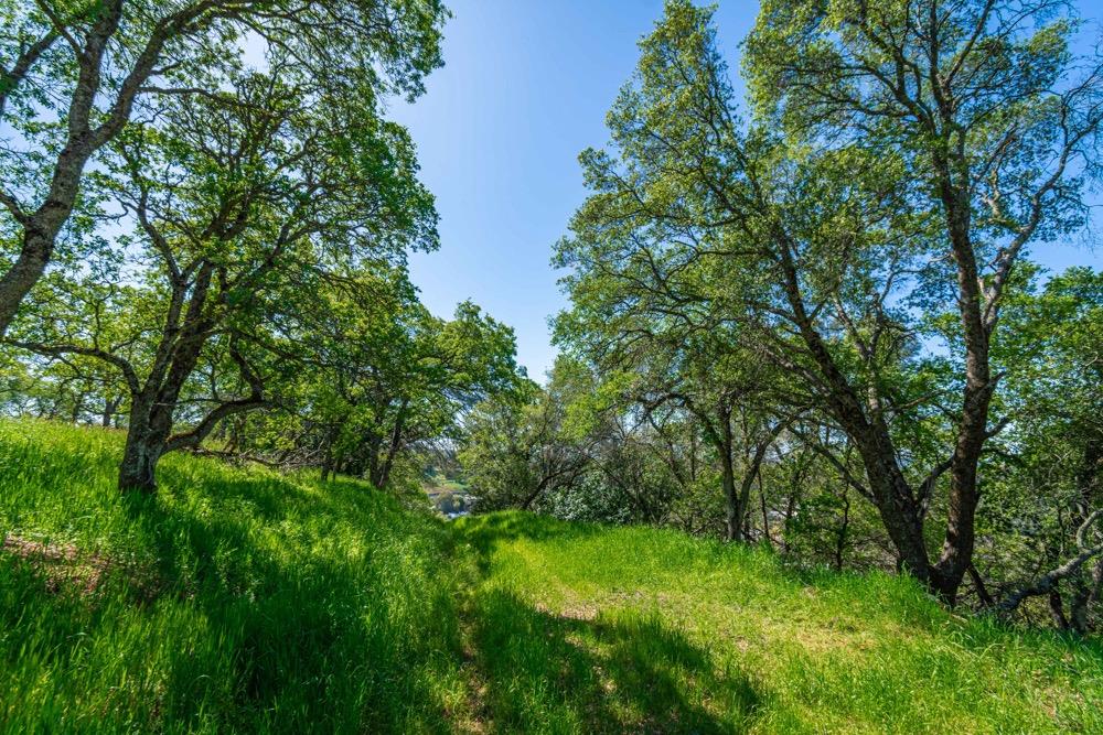 9185 Ridge Road Newcastle, CA 95658 - Photo 18 of 63