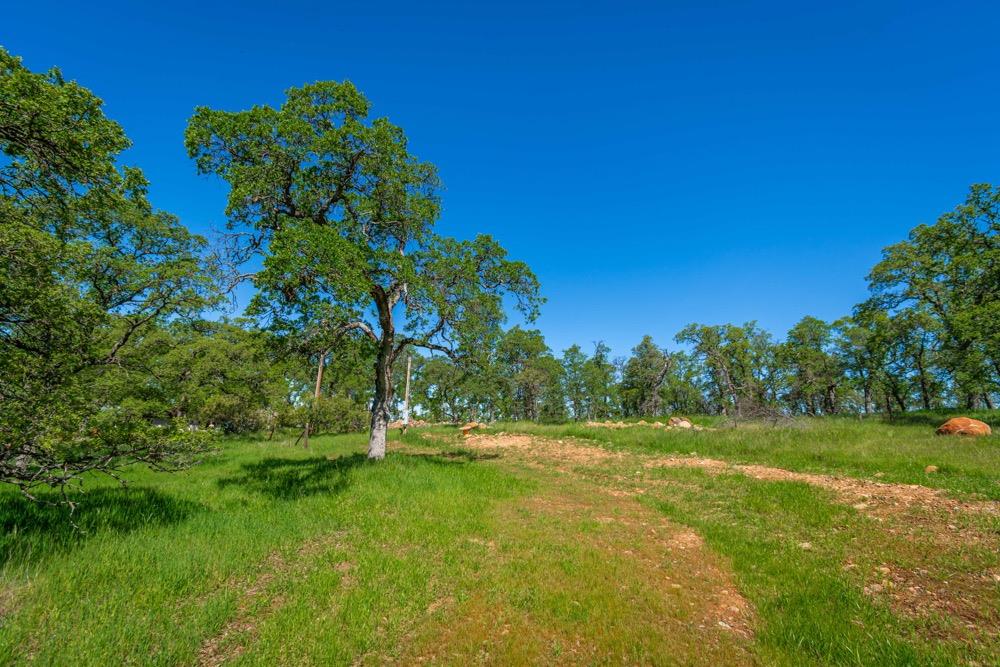 9185 Ridge Road Newcastle, CA 95658 - Photo 19 of 63