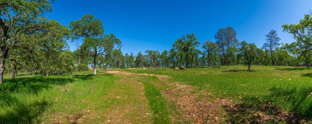 9185 Ridge Road Newcastle, CA 95658 - Photo 20 of 63