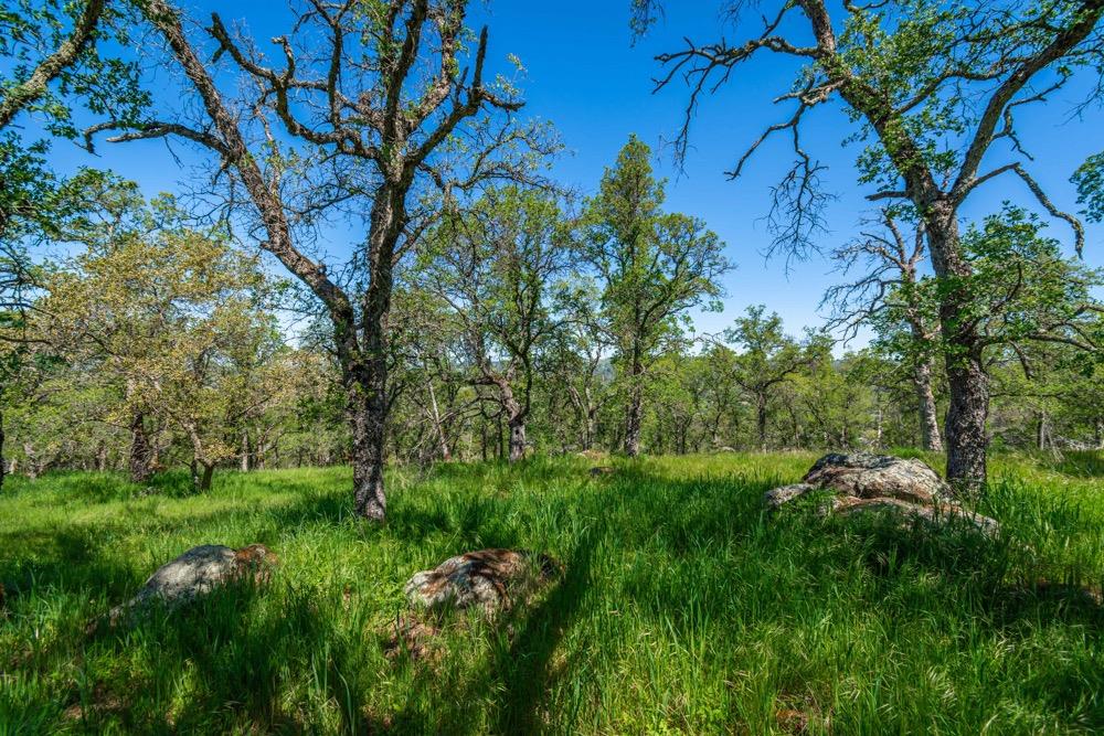 9185 Ridge Road Newcastle, CA 95658 - Photo 24 of 63