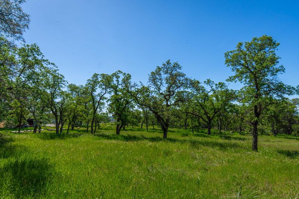 9185 Ridge Road Newcastle, CA 95658 - Photo 25 of 63