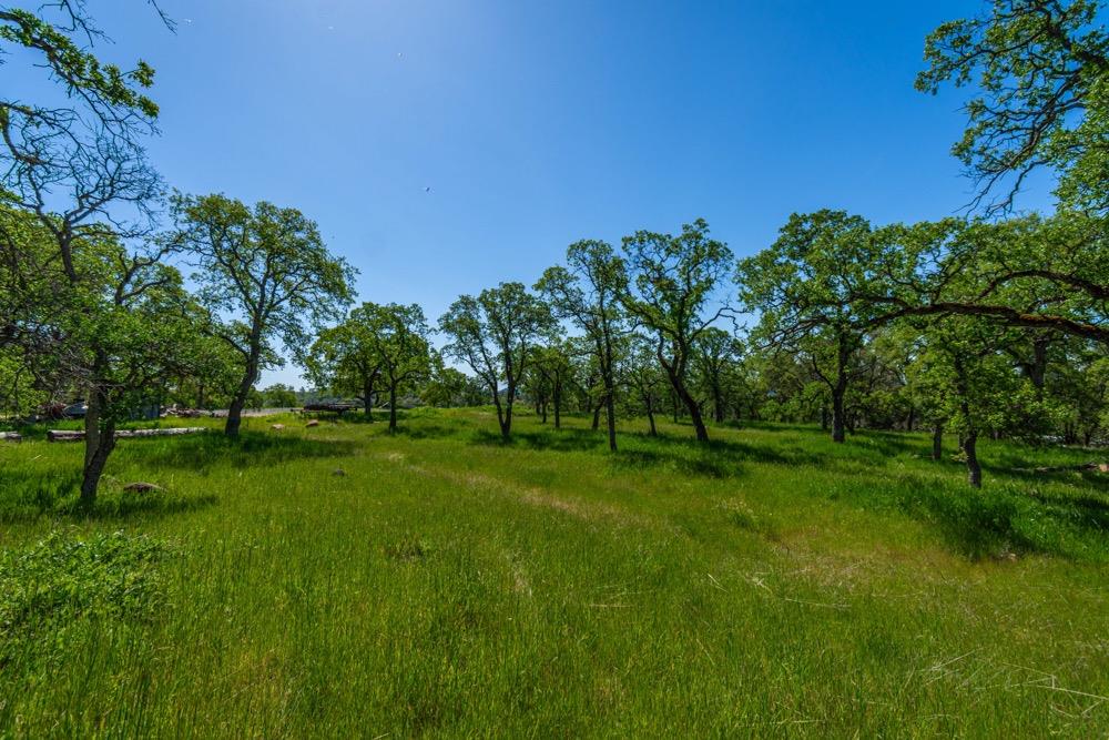 9185 Ridge Road Newcastle, CA 95658 - Photo 26 of 63