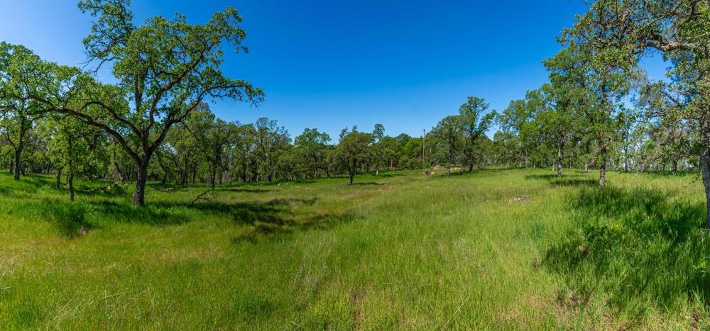 9185 Ridge Road Newcastle, CA 95658 - Photo 27 of 63