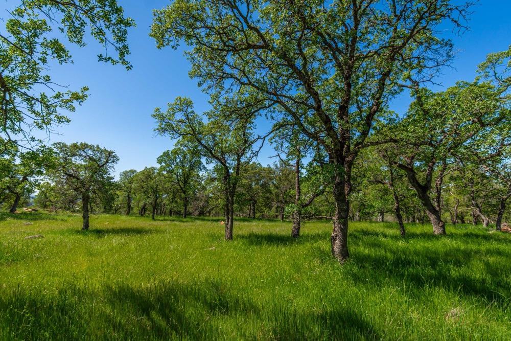 9185 Ridge Road Newcastle, CA 95658 - Photo 28 of 63