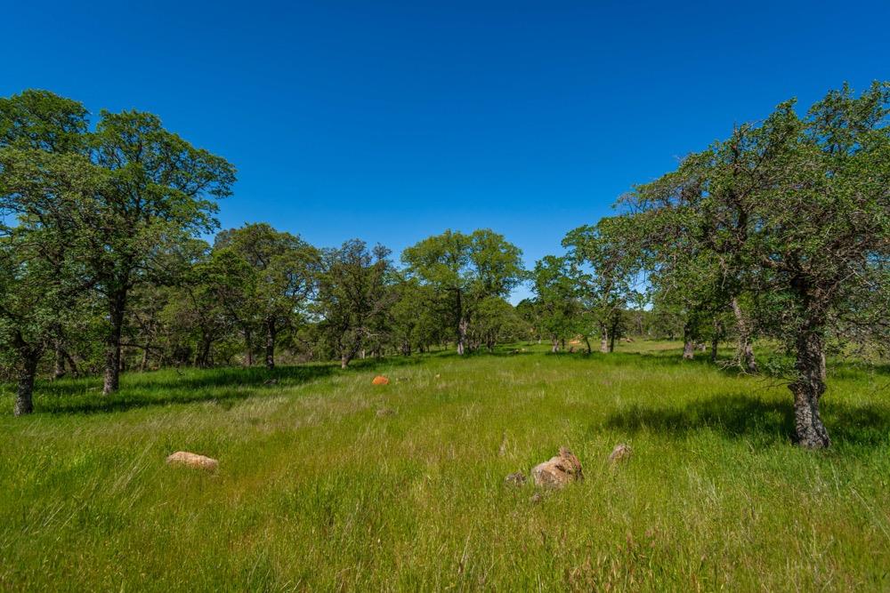 9185 Ridge Road Newcastle, CA 95658 - Photo 30 of 63