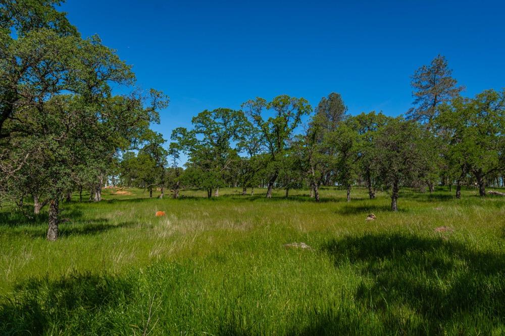 9185 Ridge Road Newcastle, CA 95658 - Photo 31 of 63