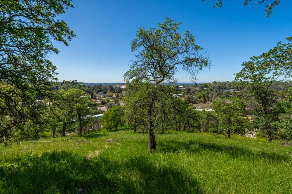 9185 Ridge Road Newcastle, CA 95658 - Photo 34 of 63