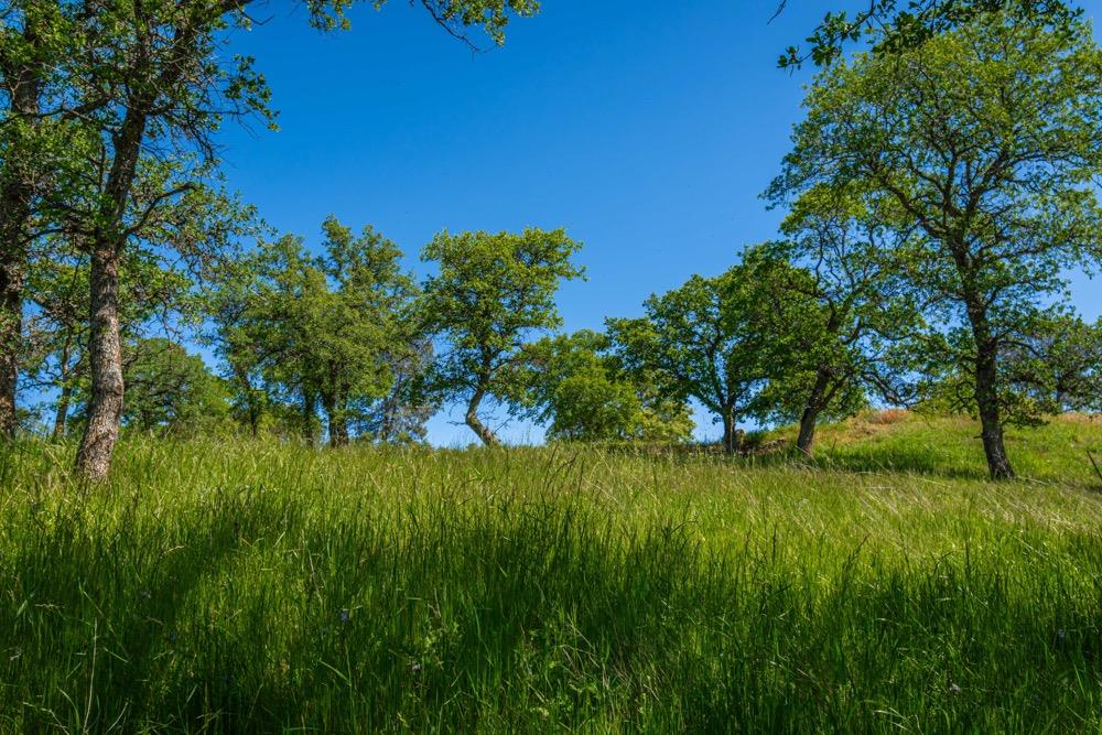 9185 Ridge Road Newcastle, CA 95658 - Photo 35 of 63