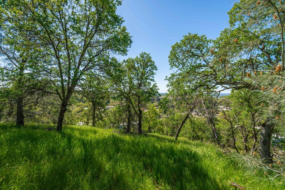 9185 Ridge Road Newcastle, CA 95658 - Photo 36 of 63