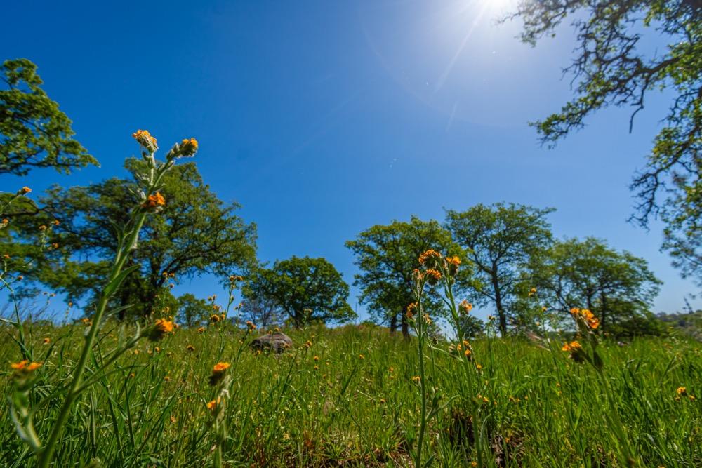 9185 Ridge Road Newcastle, CA 95658 - Photo 37 of 63