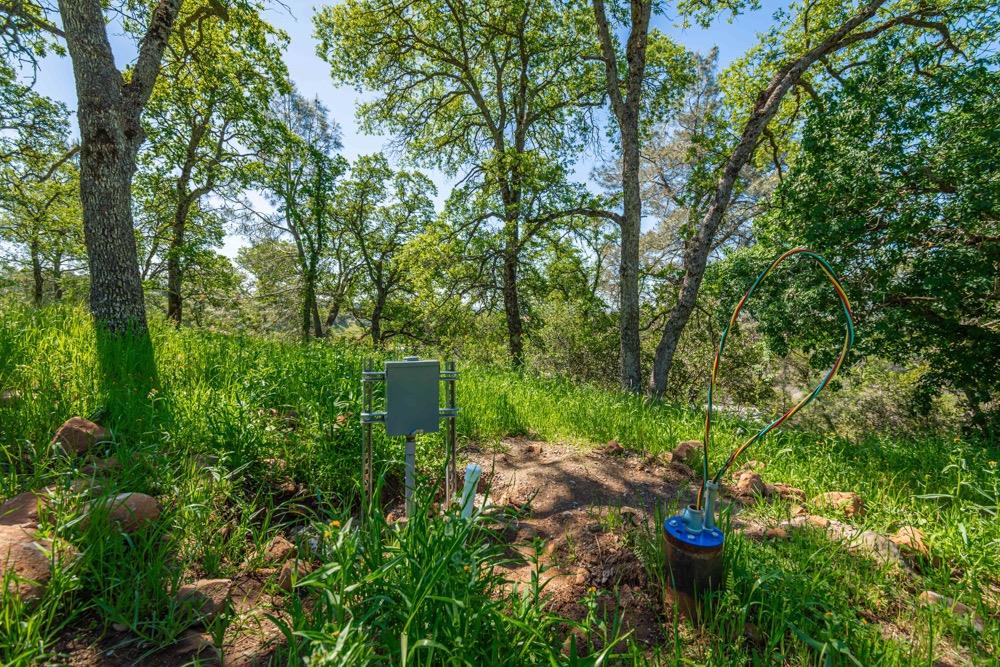 9185 Ridge Road Newcastle, CA 95658 - Photo 38 of 63