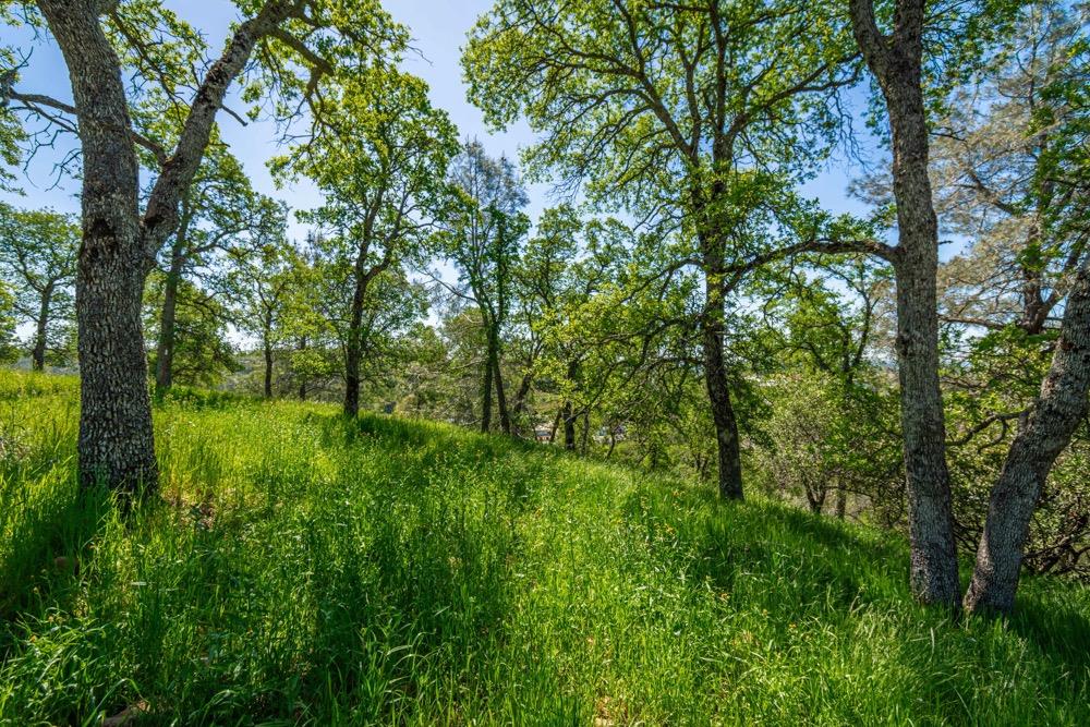 9185 Ridge Road Newcastle, CA 95658 - Photo 40 of 63