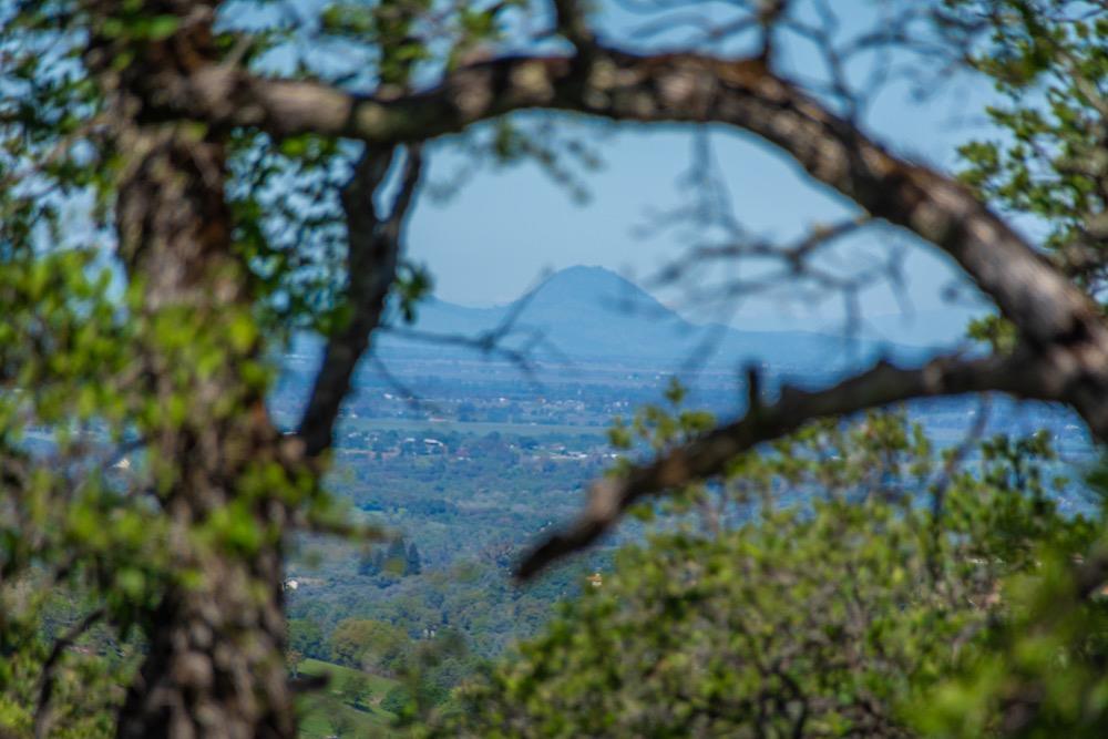 9185 Ridge Road Newcastle, CA 95658 - Photo 4 of 63