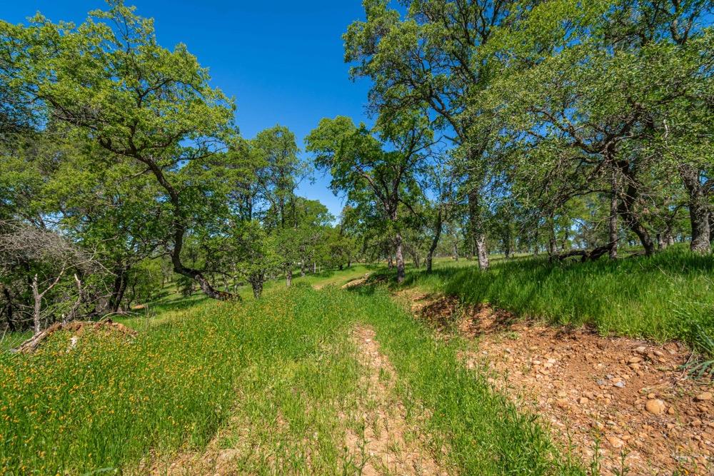 9185 Ridge Road Newcastle, CA 95658 - Photo 41 of 63