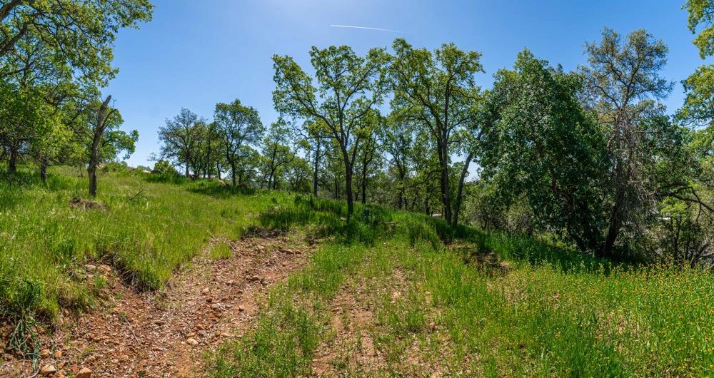 9185 Ridge Road Newcastle, CA 95658 - Photo 42 of 63