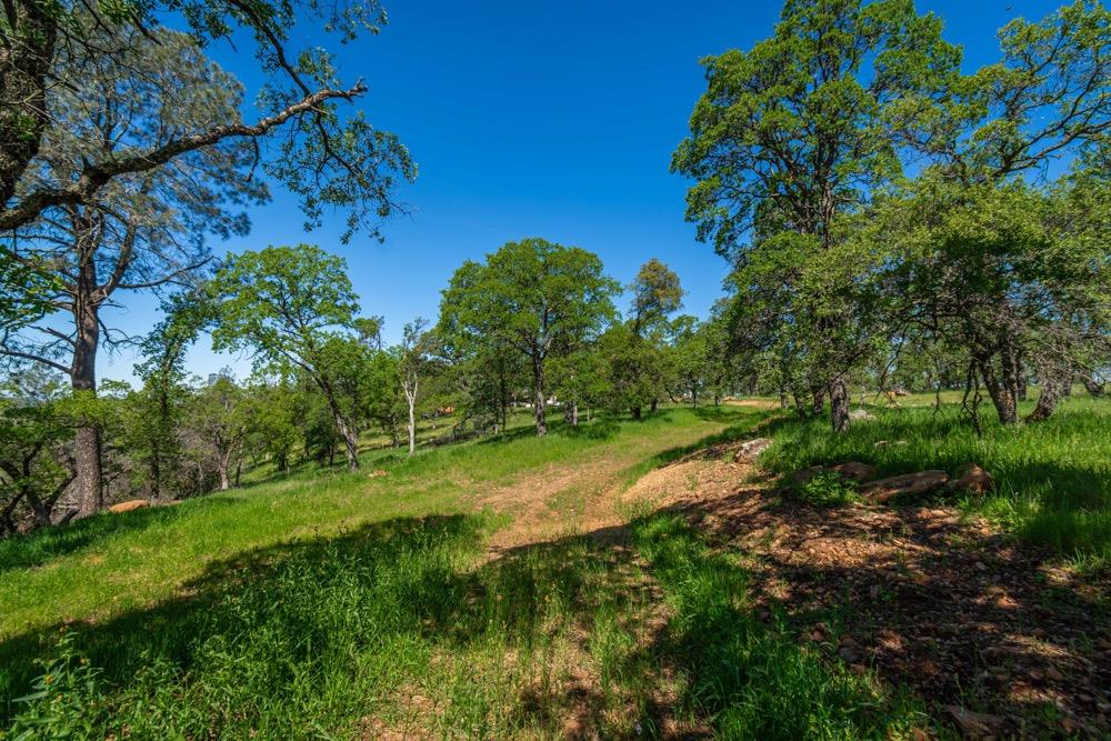 9185 Ridge Road Newcastle, CA 95658 - Photo 43 of 63