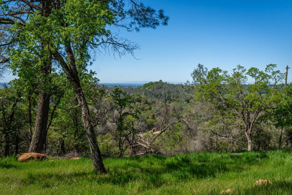 9185 Ridge Road Newcastle, CA 95658 - Photo 44 of 63