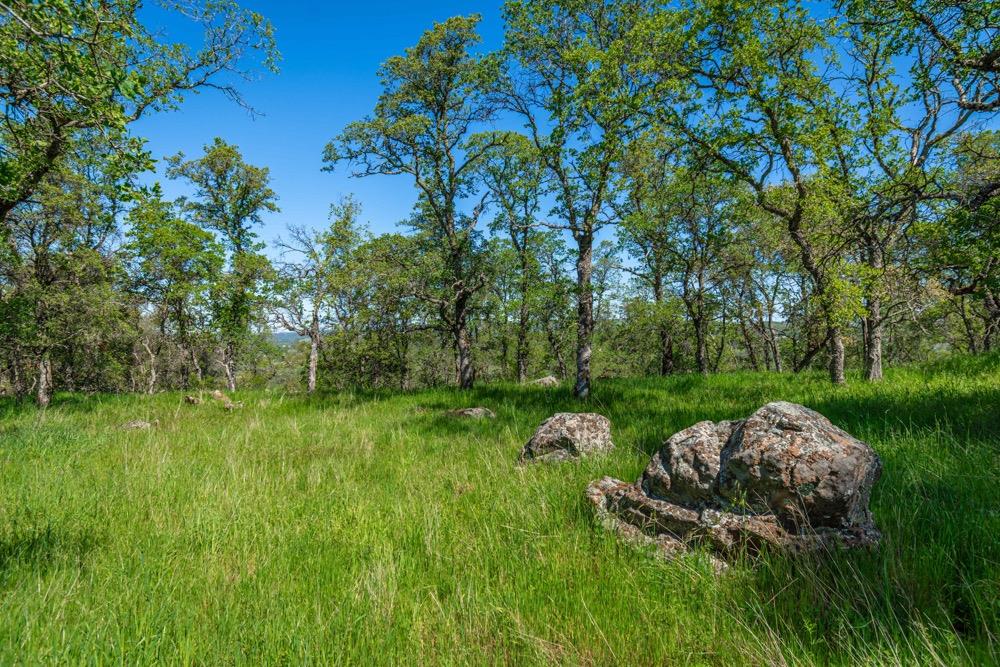 9185 Ridge Road Newcastle, CA 95658 - Photo 7 of 63