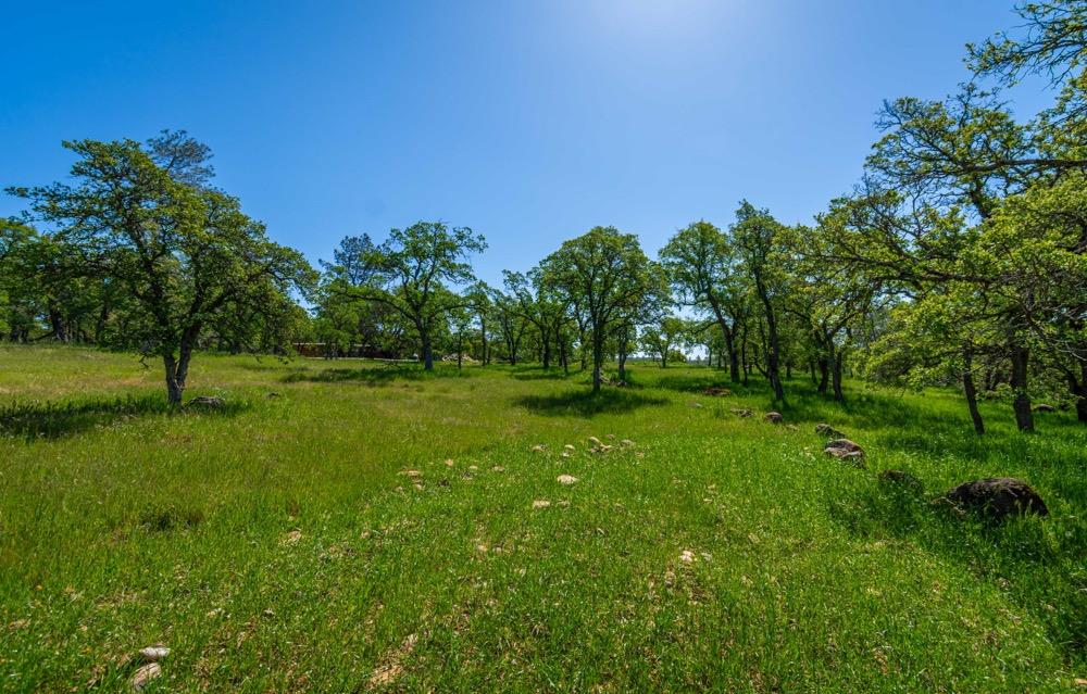 9185 Ridge Road Newcastle, CA 95658 - Photo 8 of 63