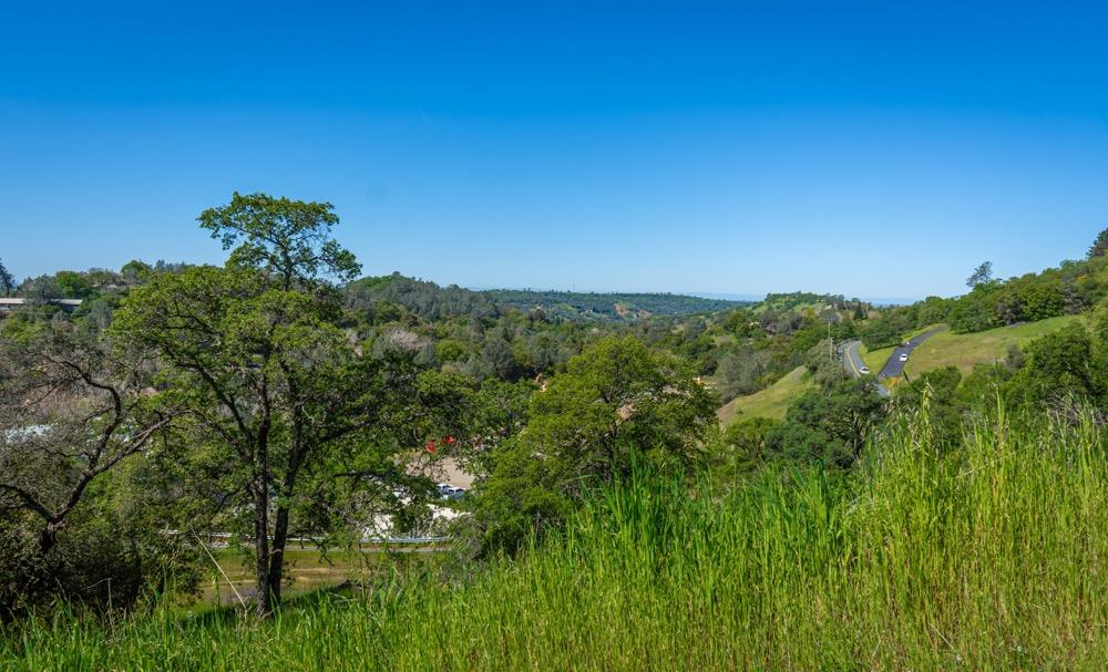 9185 Ridge Road Newcastle, CA 95658 - Photo 9 of 63