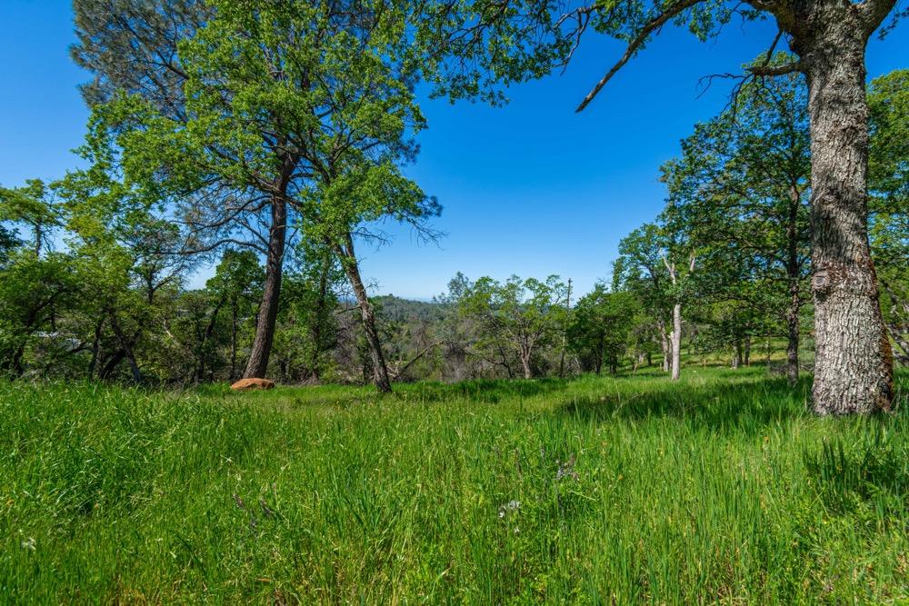 9185 Ridge Road Newcastle, CA 95658 - Photo 10 of 63