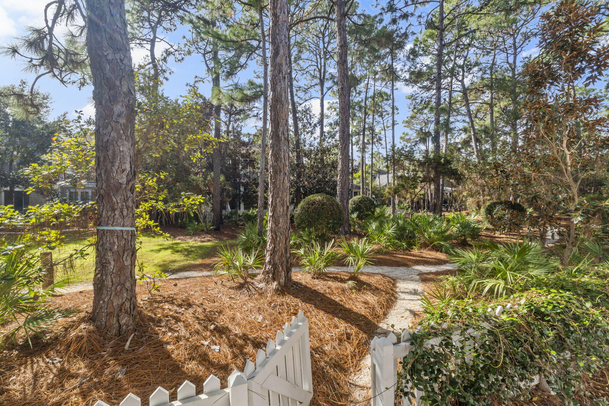 27 Anchor Rode Circle Santa Rosa Beach, FL 32459 - Photo 20 of 44 a view of a yard with large tree