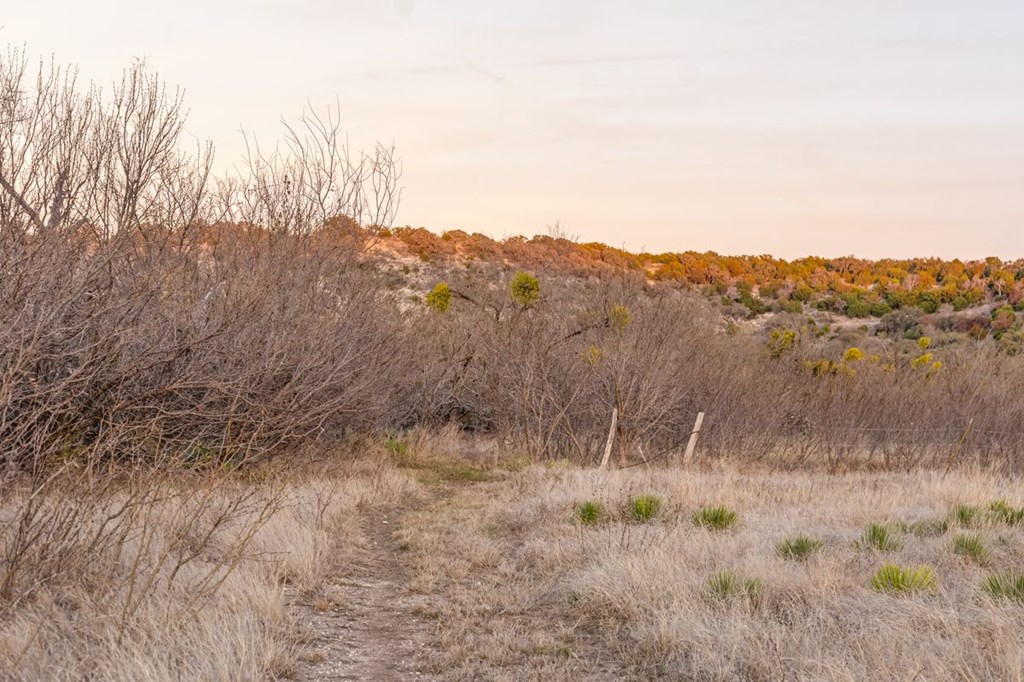9402 Doss-Spring Creek Road Doss, TX 78618 - Photo 72 of 78