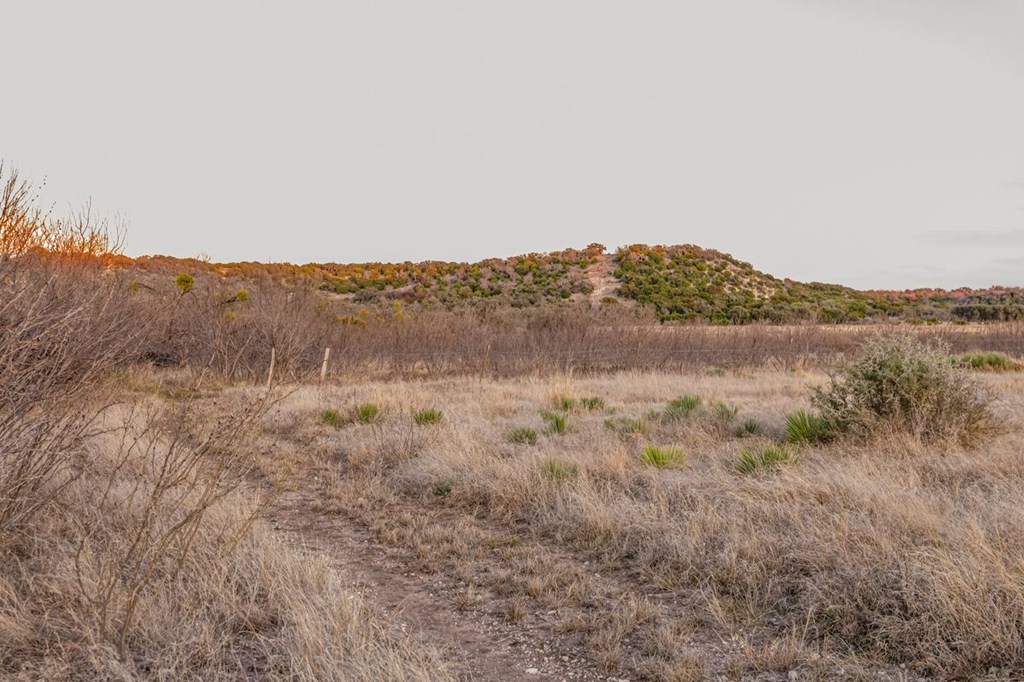 9402 Doss-Spring Creek Road Doss, TX 78618 - Photo 77 of 78 a view of a dry field