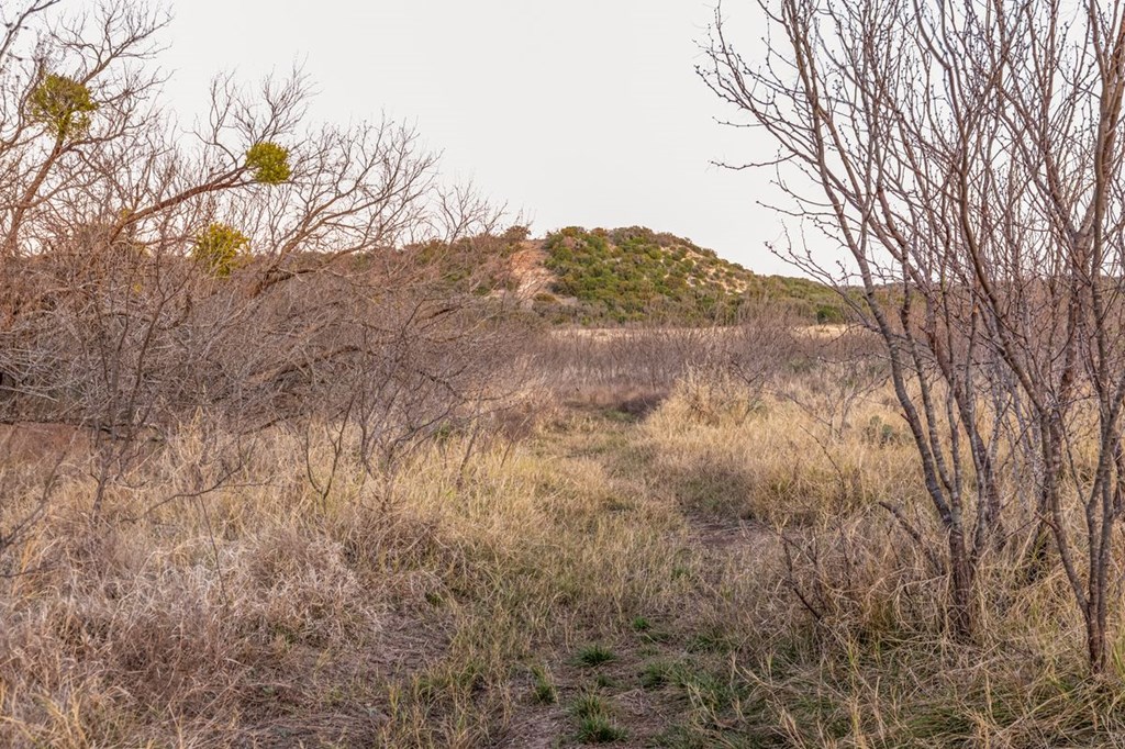 9402 Doss-Spring Creek Road Doss, TX 78618 - Photo 78 of 78 a view of mountain view with lots of trees
