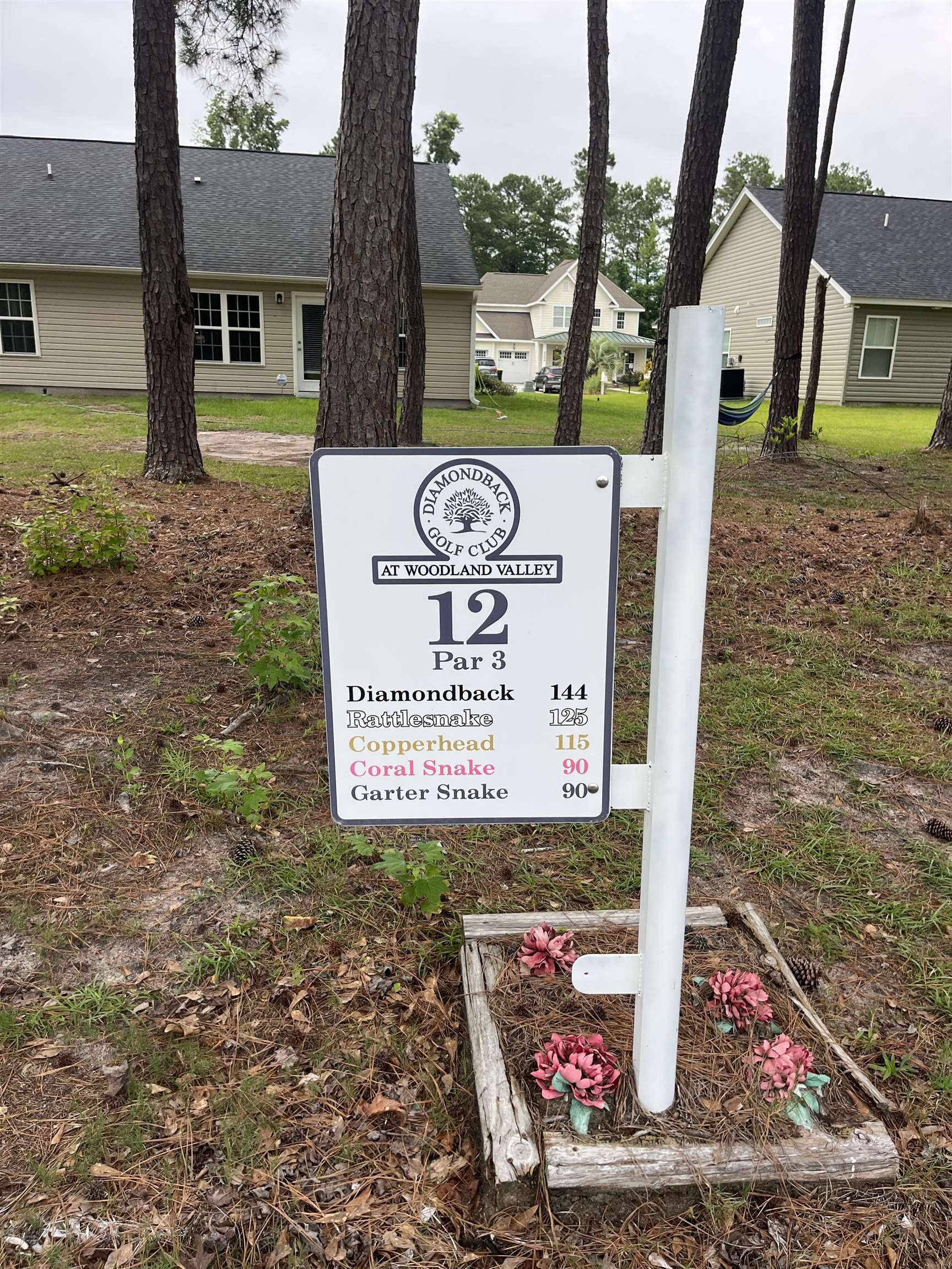 Tbd Long Meadow Drive Loris, SC 29569 - Photo 5 of 6