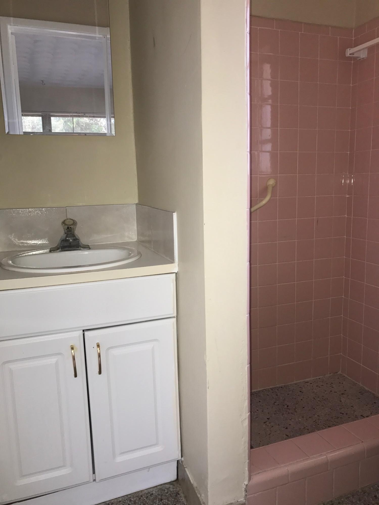 225 Northwest 4th Diagonal Boca Raton, FL 33432 - Photo 8 of 12 IMG_1387