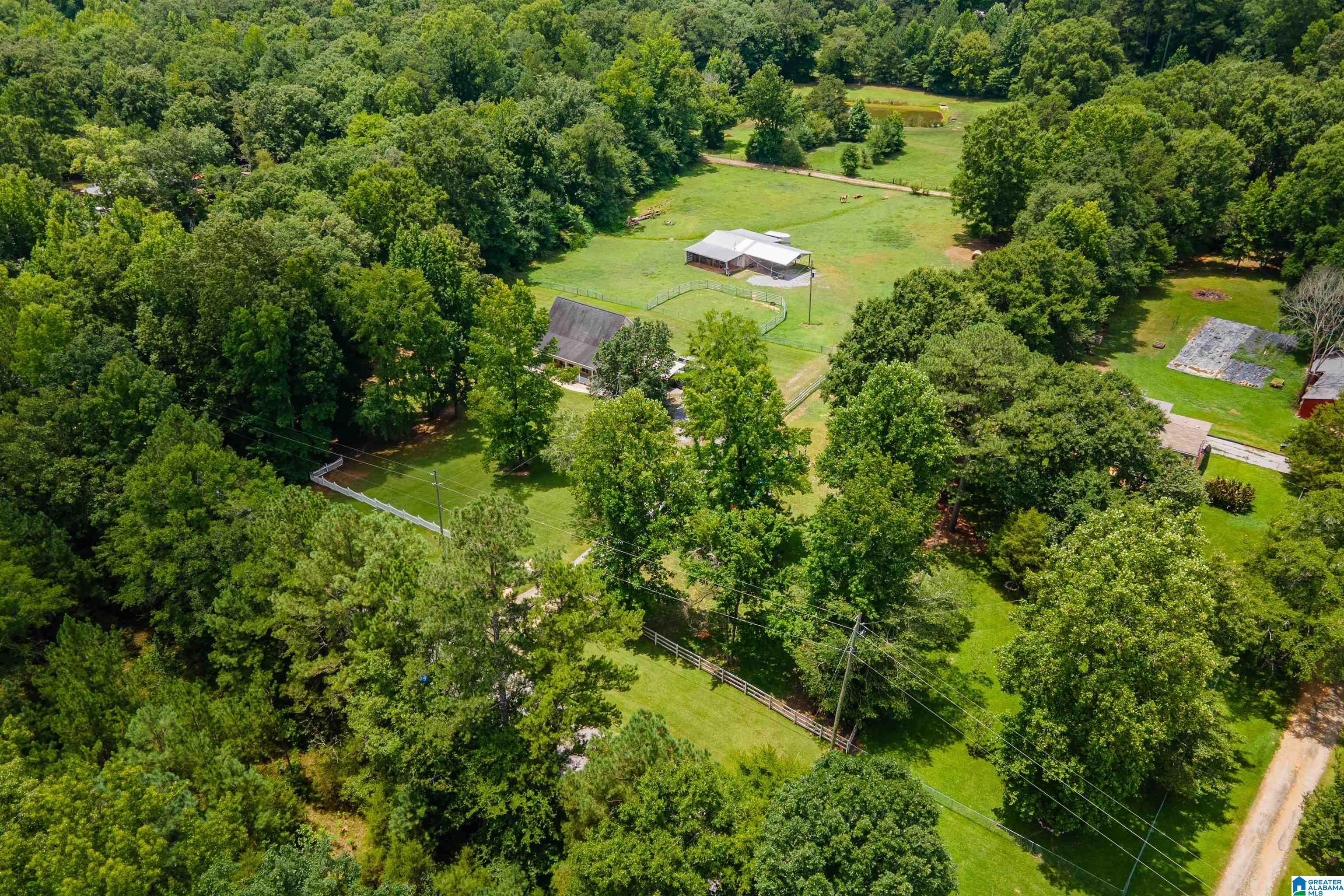 125 Homebrew Knob Ragland, AL 35131 - Photo 69 of 81 Gallery Image 69