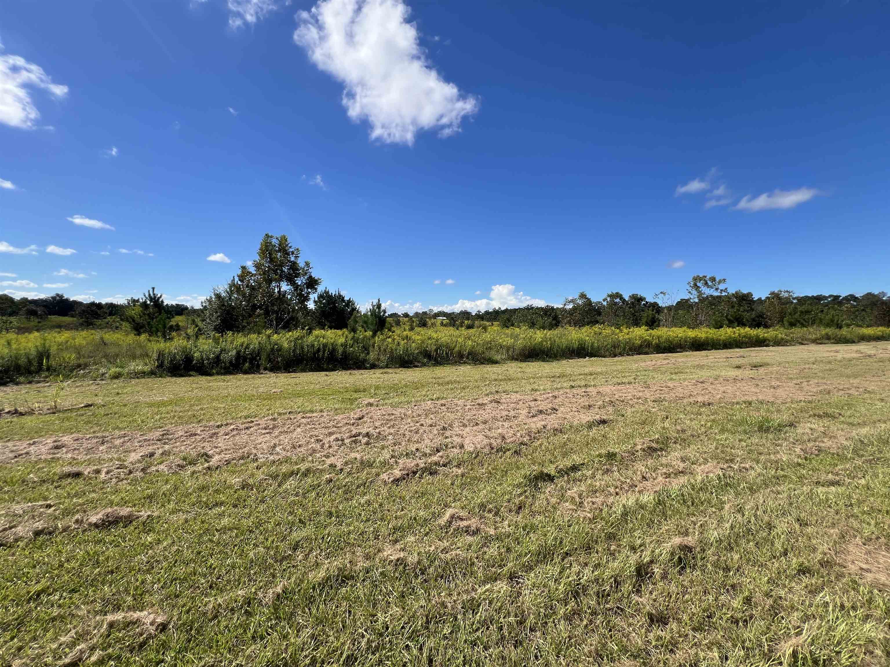 258 Harbin Road Quincy, FL 32351 - Photo 66 of 67 Gallery Image 66