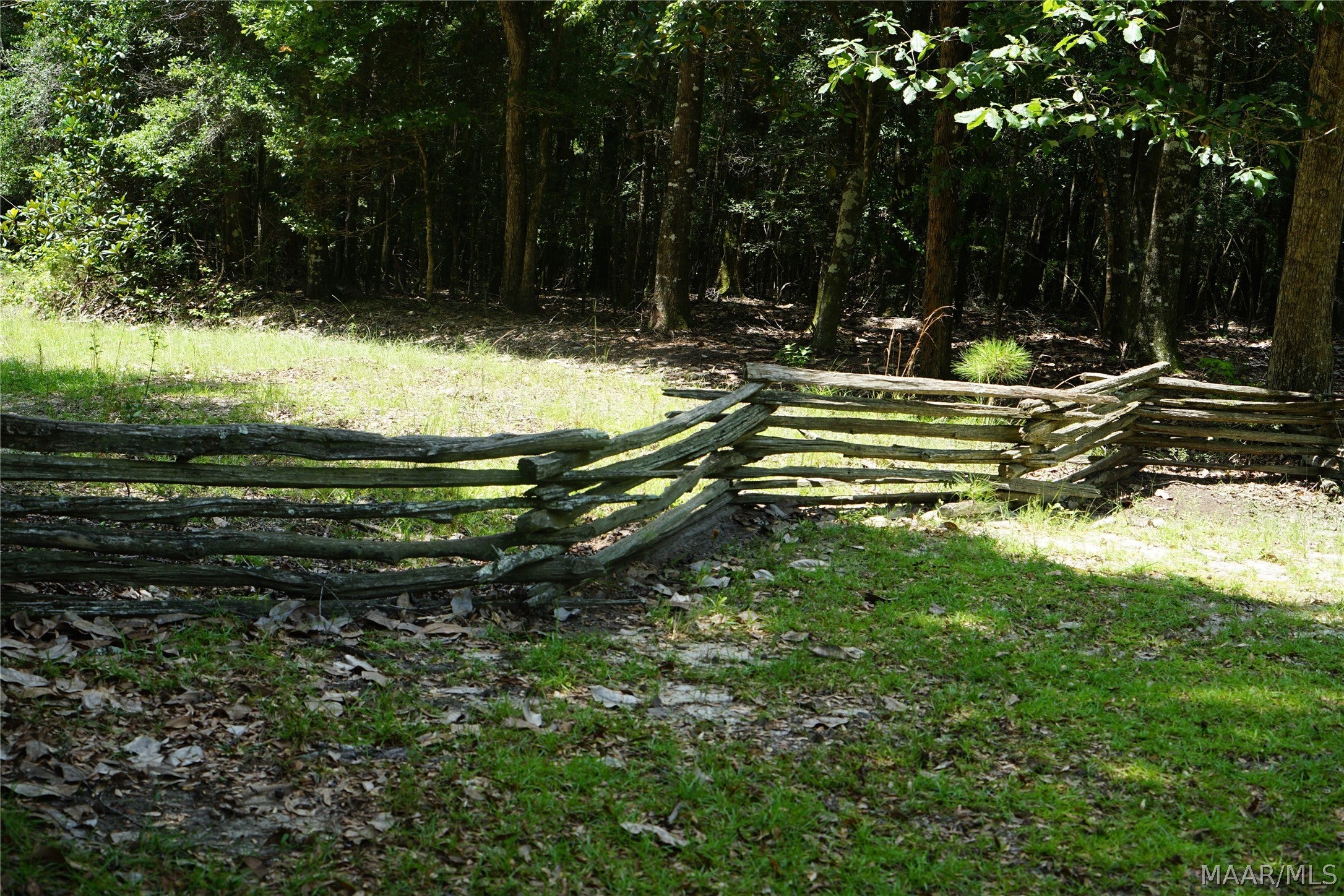 10028 Buster Aplin Road Florala, AL 36442 - Photo 35 of 47 Gallery Image 35