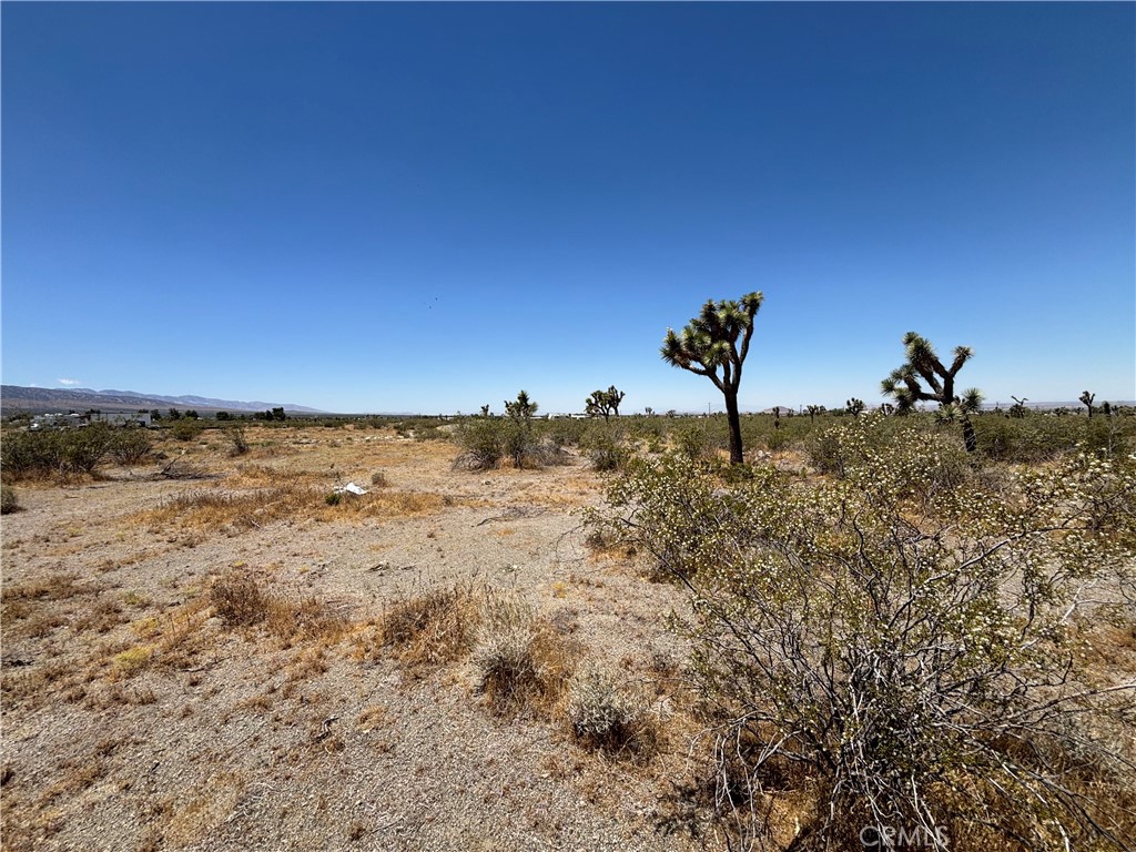 0 Danbury Road Pinon Hills, CA 92372 - Photo 1 of 1