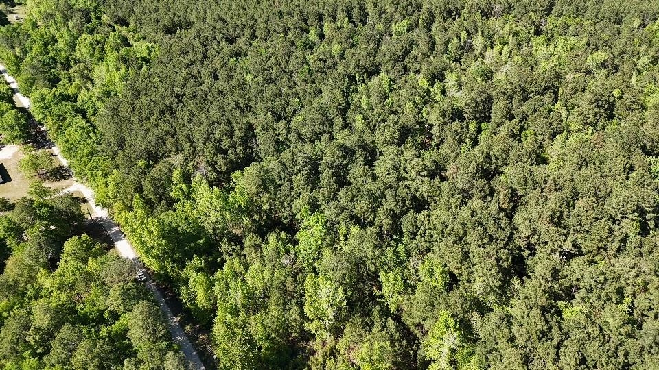 Tbd Cambridge Road Marion, SC 29571 - Photo 2 of 3