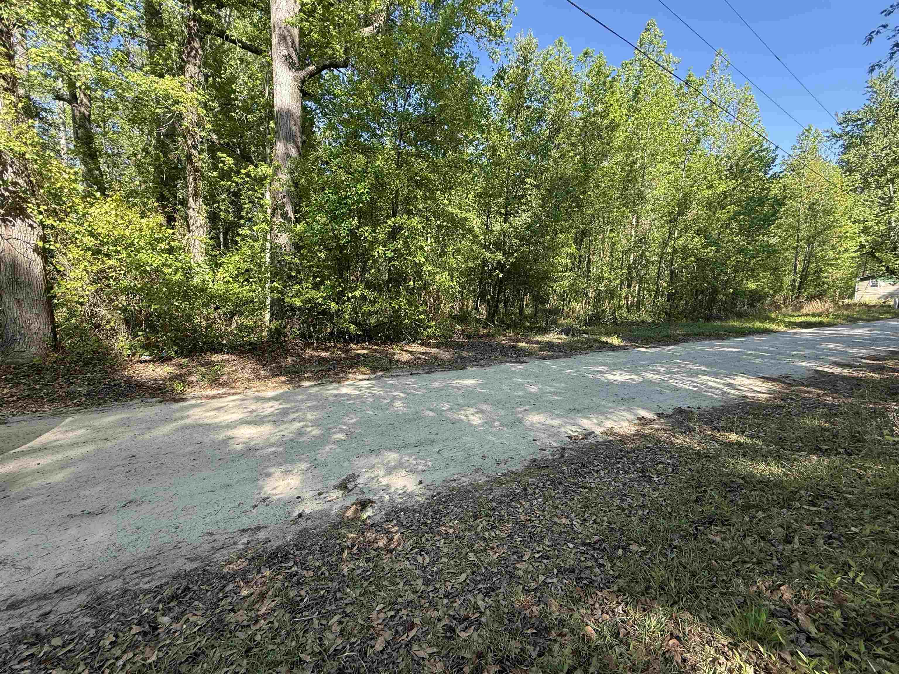 Tbd Cambridge Road Marion, SC 29571 - Photo 3 of 3