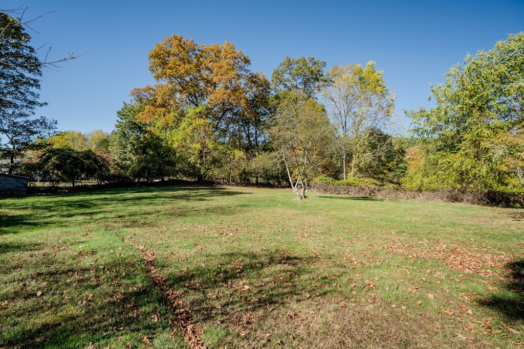 200 Long Plain Road Leverett, MA 01054 - Photo 25 of 40 a view of a field with trees