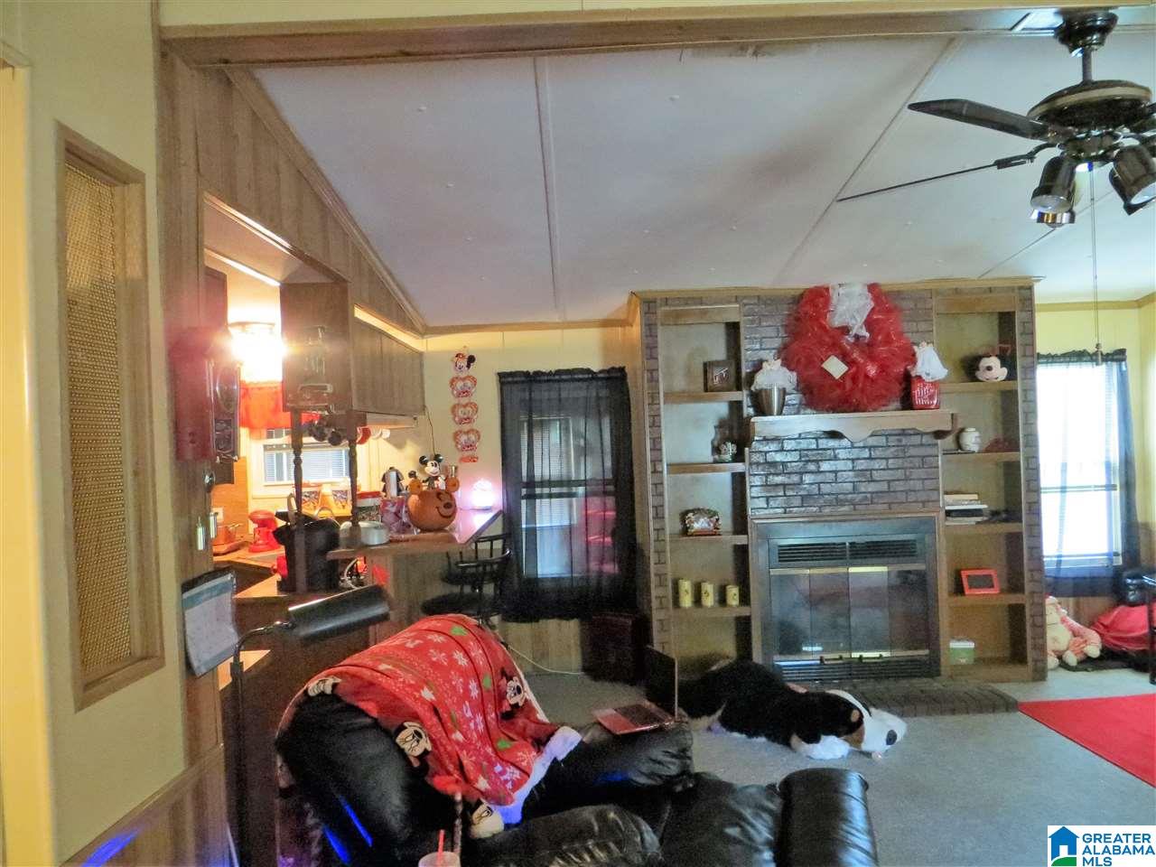 723 County Line Road Oxford, AL 36203 - Photo 8 of 41