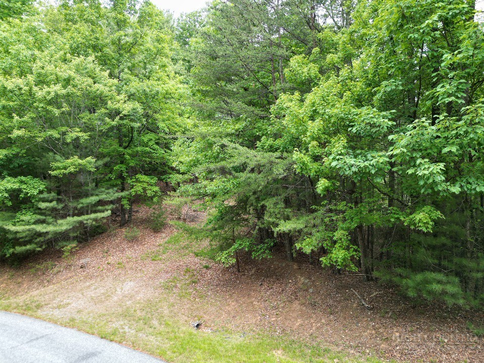 22 Elk Ridge Road Ferguson, NC 28624 - Photo 3 of 16 a view of a forest with a tree