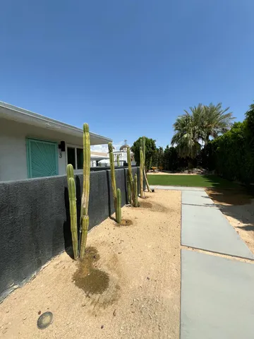 a view of a backyard