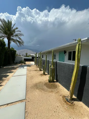 a view of a backyard