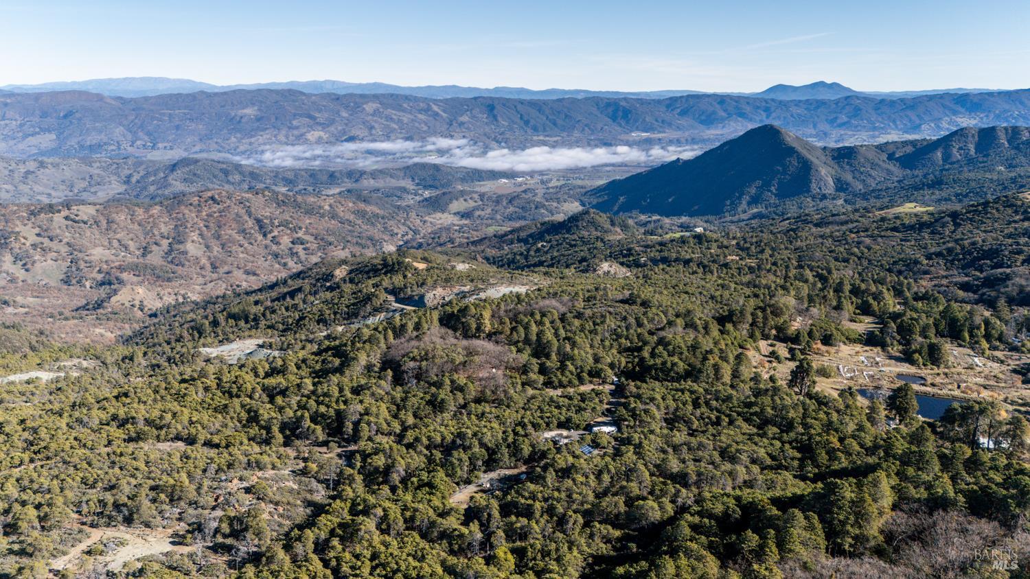 an aerial view of mountain and tree
